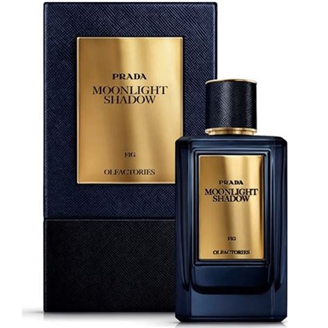 prada moonlight shadow perfume|Olfactories .